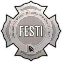 FESTI logo